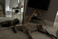 image0