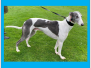Homed - MO (m) - DOB: Nov 2020