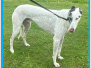 Homed - PETER (m) - DOB: Jan 2021