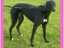Homed - Sami (f) - DOB: March 2022