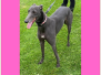 Homed - STAR (f) - DOB:  Jan 2021